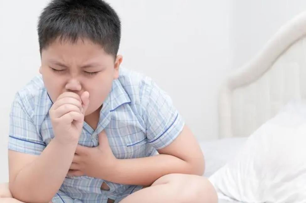 哮喘已有高发病率，“三减三增”饮食方
