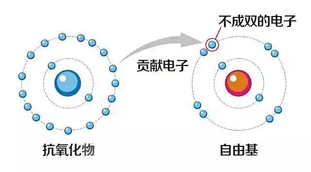 试过很多方法，发现这样改善皱纹超有效！ - 还原水